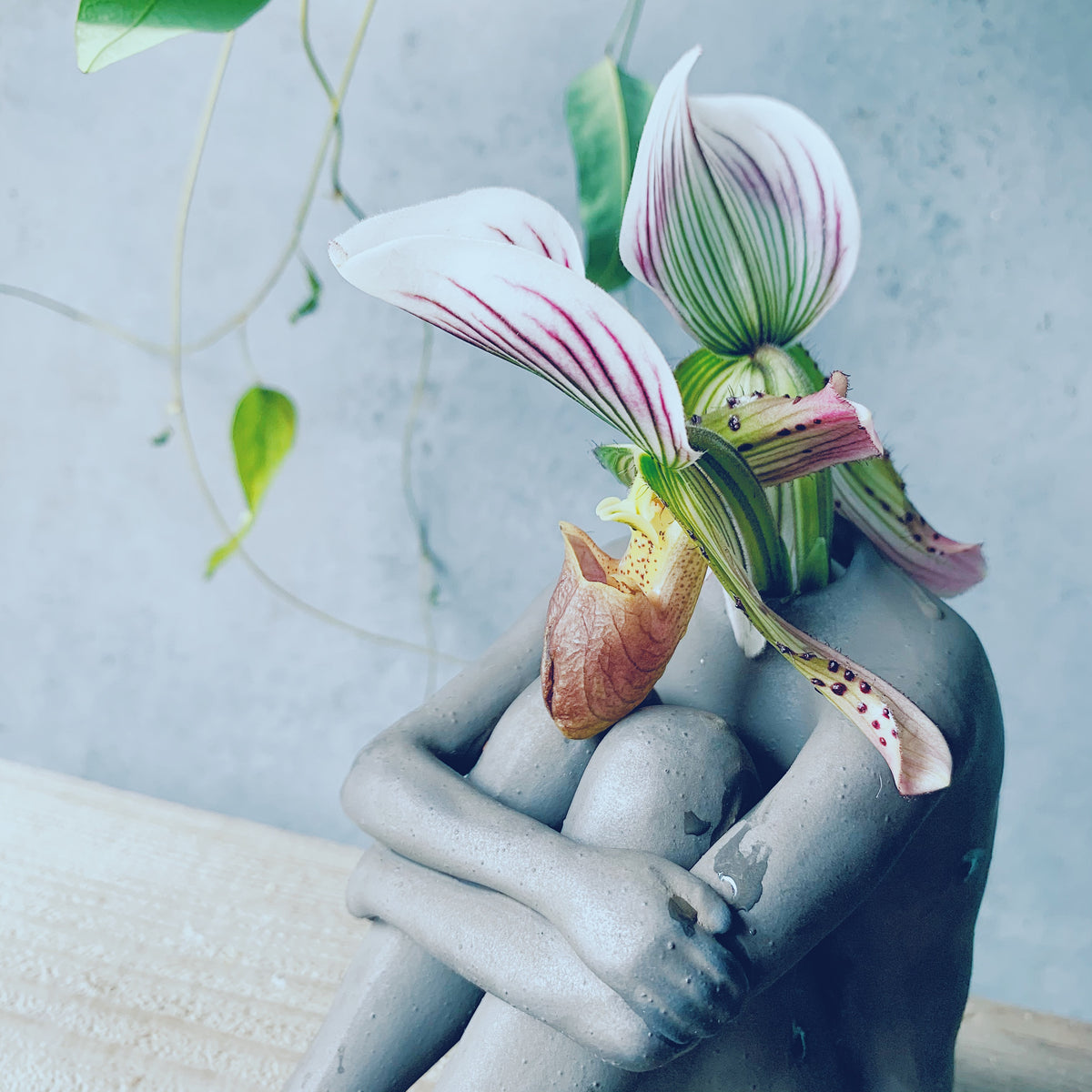 Still Life Think Vase BK – パコスフラワー