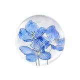Delphinium Object / blue