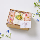 2026【ボタニカリウム用】母の日限定ギフト梱包