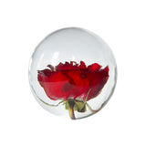 Rose Object / red