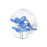 Delphinium Object / blue