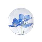 Delphinium Object / blue