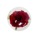 Rose Object / red