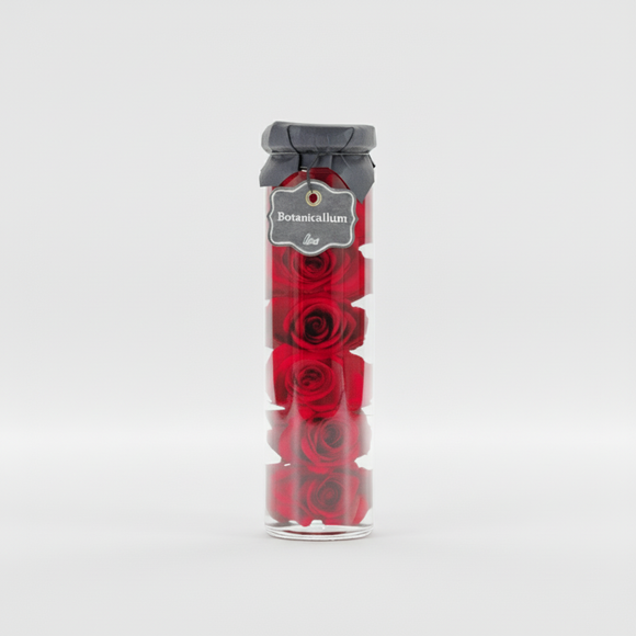 【リメイク】ボタニカリウム（ローズ / レッド）