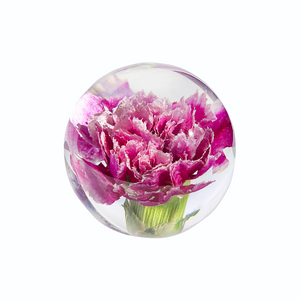 Carnation Object / esprit pink
