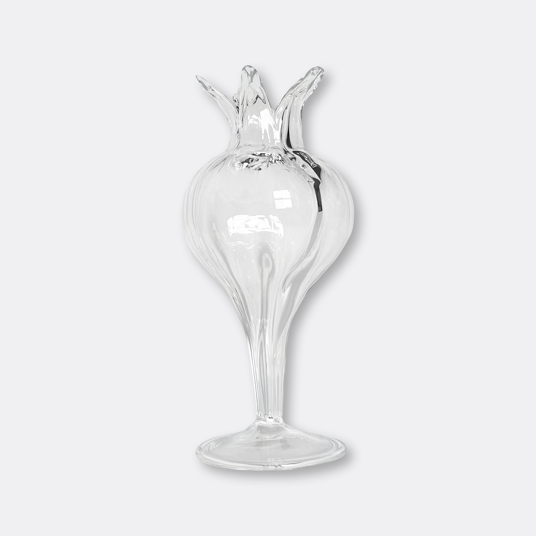 DES POTS glass vase – パコスフラワー