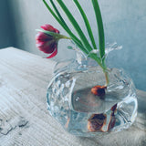 Pomegranated　inside glass vase  M