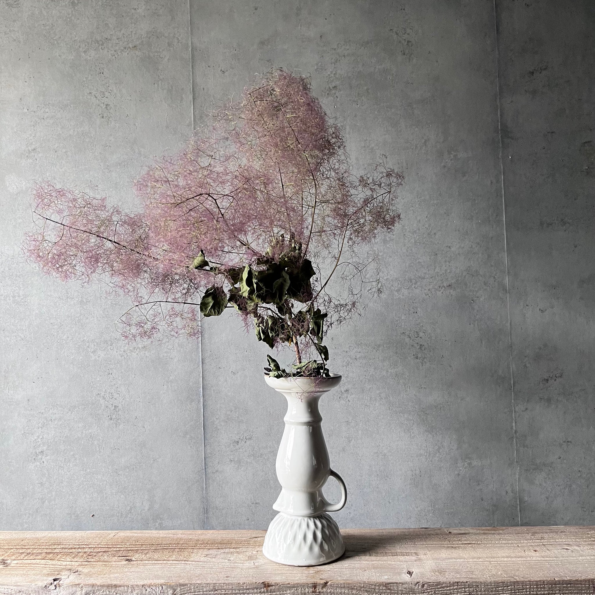 スモークツリー/レッド – パコスフラワー