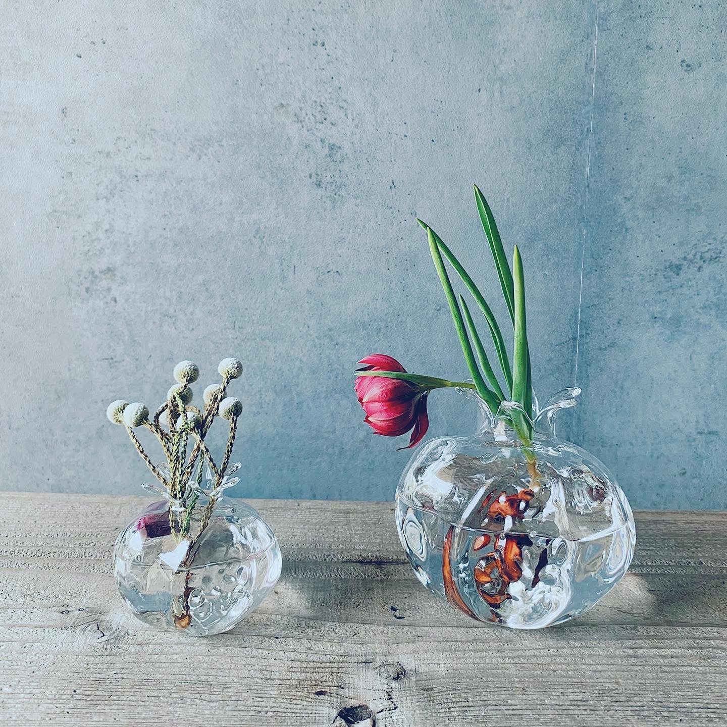 Pomegranated inside glass vase S – パコスフラワー