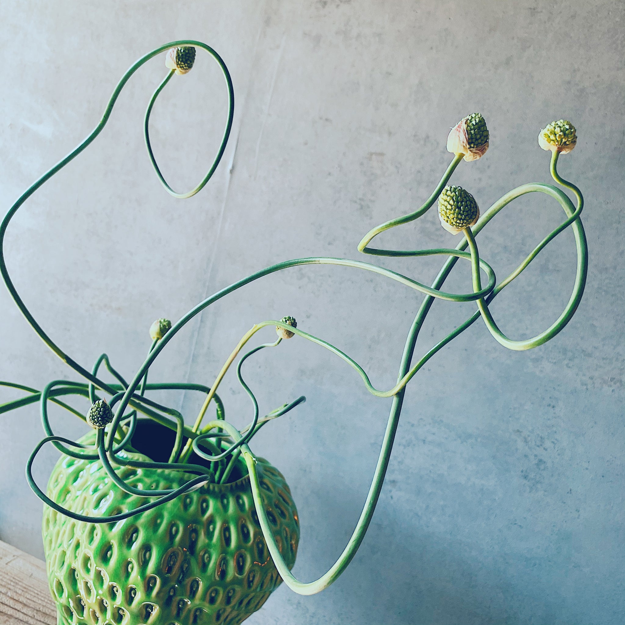 Strawberry vase XL / Green – パコスフラワー Strawberry vase XL / Green – パコスフラワー