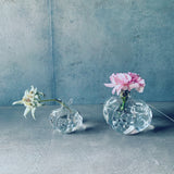 Pomegranated　inside glass vase  M